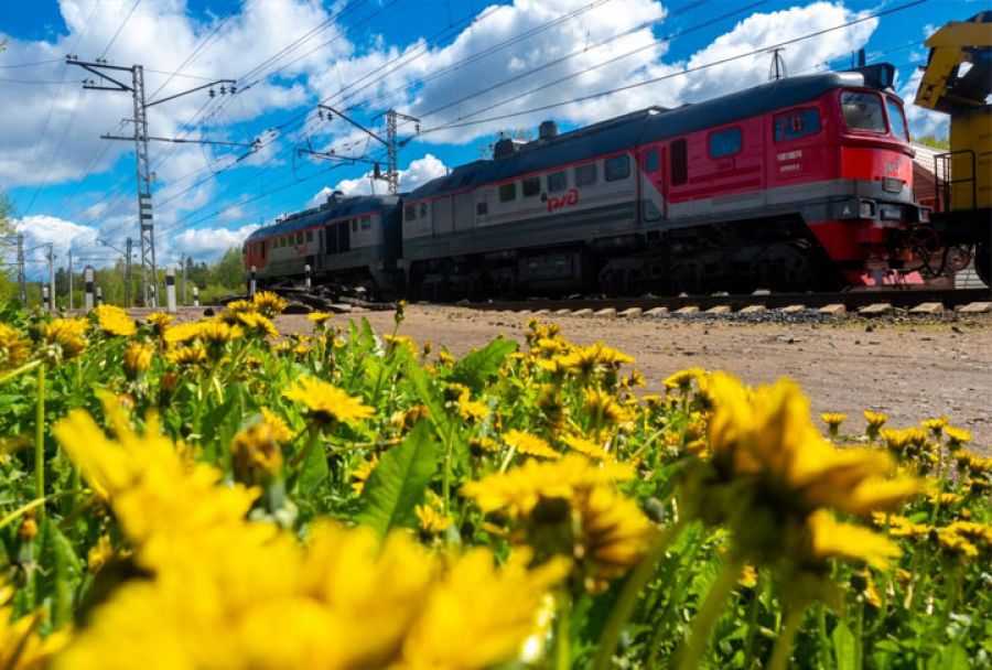 На перегоне Хотьково-Софрино выявлено 19 пешеходов, переходящих дорогу в неположенном месте