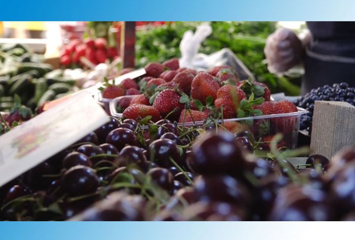 Время собирать ягоды