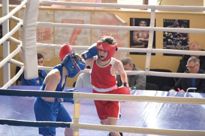 В спортивном комплексе &laquo;Луч&raquo; состоялось открытие восьмого чемпионата Сергиево-Посадского округа по боксу, посвящённого героям СВО