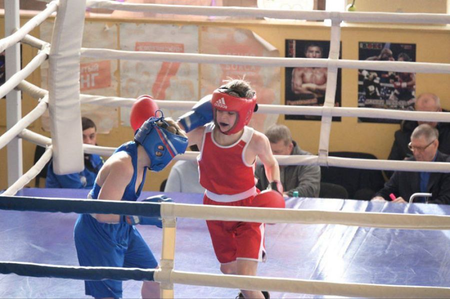 В спортивном комплексе «Луч» состоялось открытие восьмого чемпионата Сергиево-Посадского округа по боксу, посвящённого героям СВО