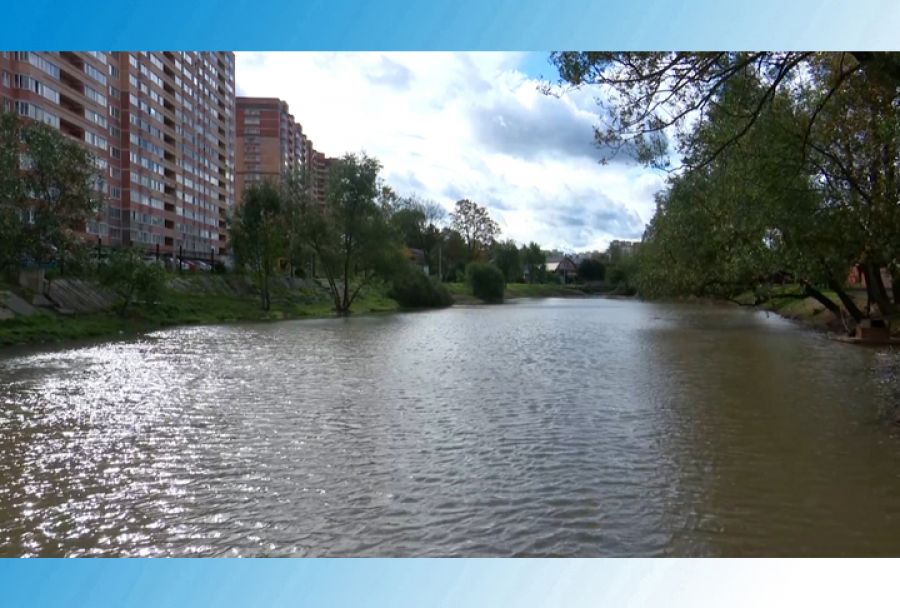 Благоустройство городского пруда