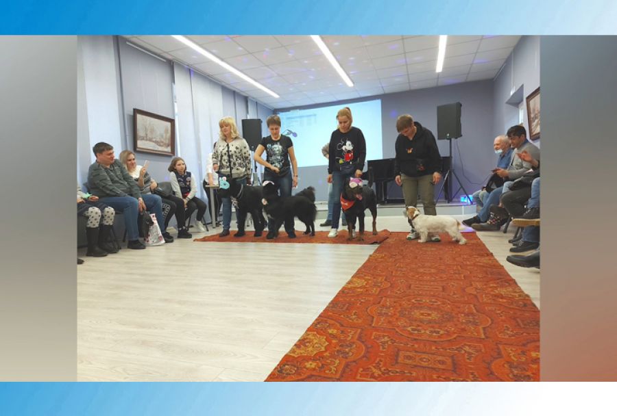 &laquo;Библионочь&raquo; в библиотеке имени Горловского