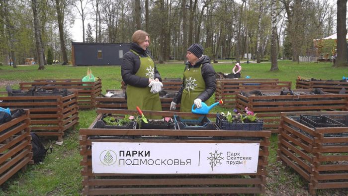 Общественный огород &ndash; для всех желающих