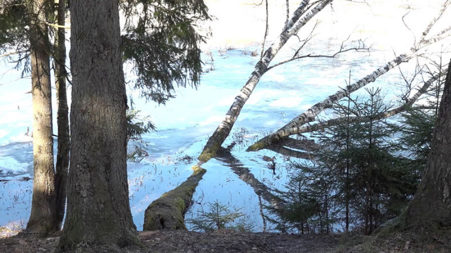 Осторожность не повредит!