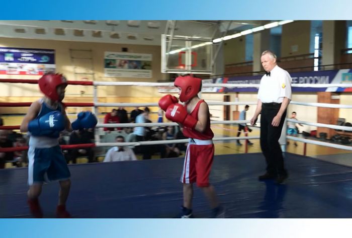 Итоги соревнований по боксу в СК &laquo;Луч&raquo;