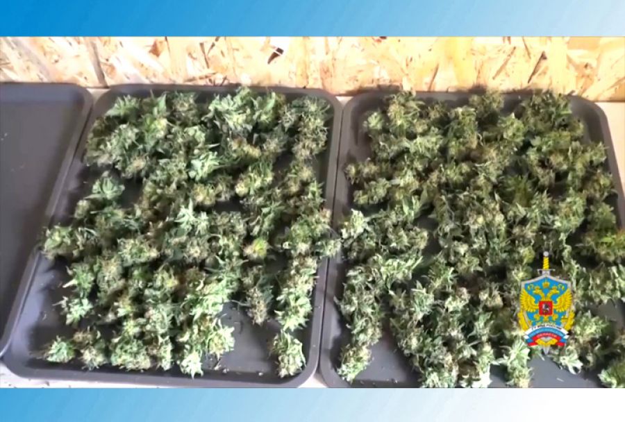 Задержан подозреваемый в незаконном хранении наркотических средств
