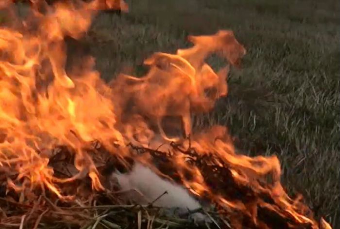 26 апреля в Сергиево-Посадском районе прошли масштабные противопожарные учения