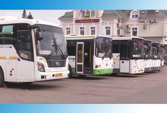 Льготу на учебную карту "Стрелка" необходимо подтвердить