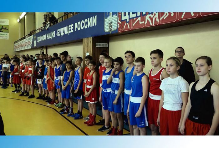 Турнир по боксу собрал участников со всего Подмосковья