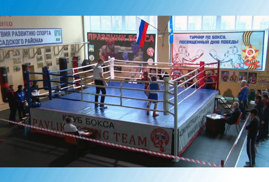 На &laquo;Луче&raquo; прошли соревнования по боксу ко Дню Победы