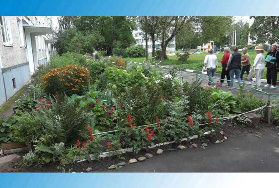 В конкурсе участвуют лучшие цветники Сергиево-Посадского округа