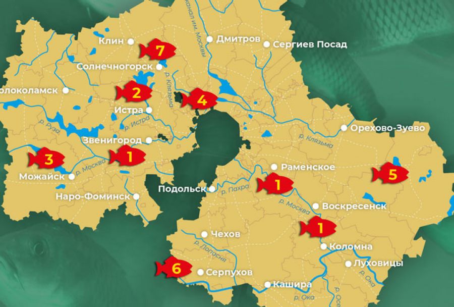Туристический портал Подмосковья опубликовал лучшие места для рыбалки