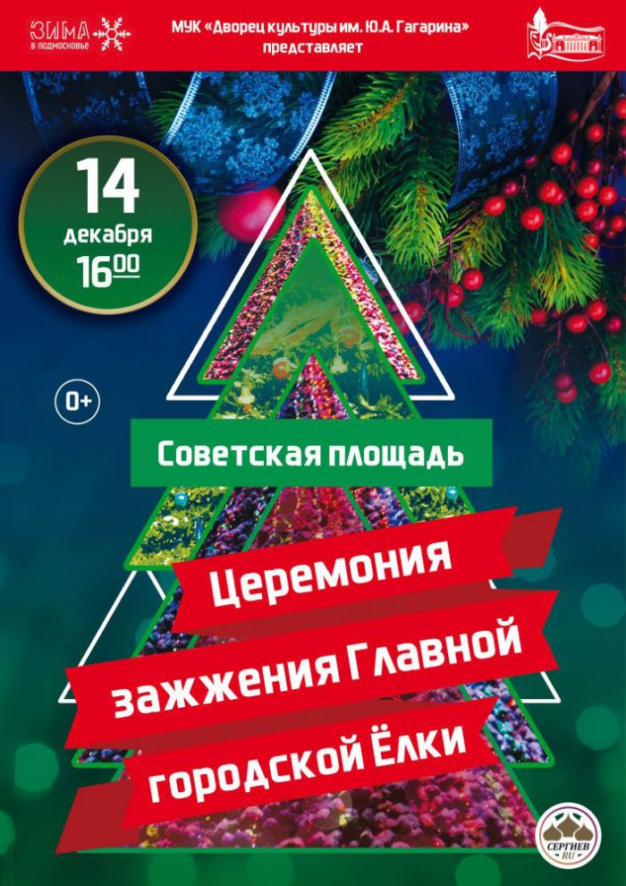 Новогодняя шоу-программа 14 декабря