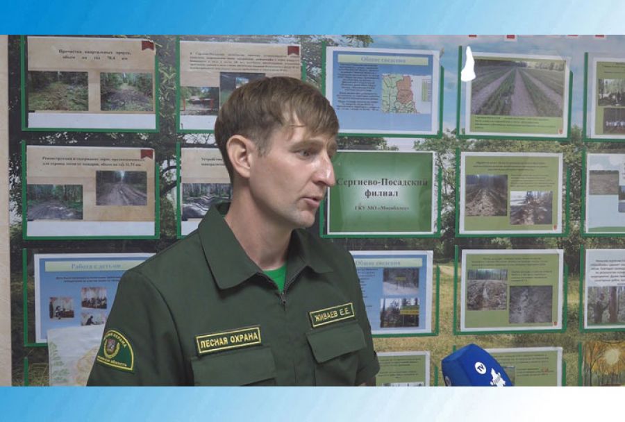 День защиты леса от пожаров