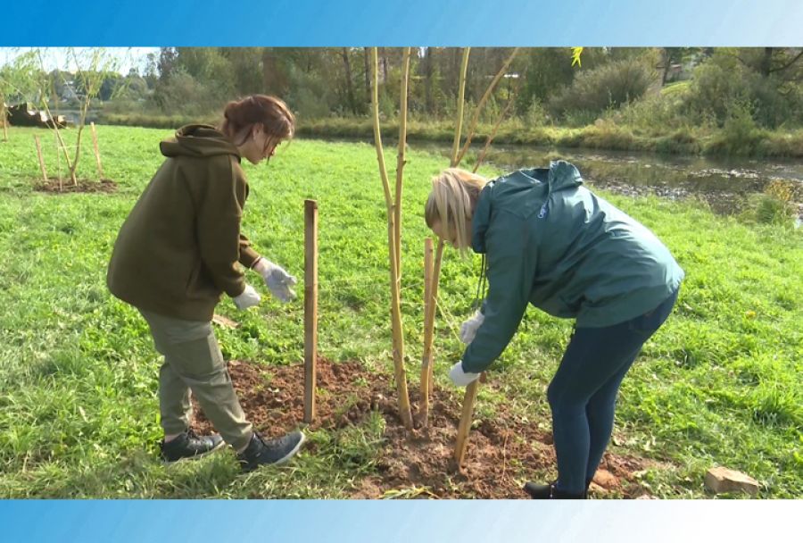 Акция "Наш лес. Посади своё дерево" прошла в день округа