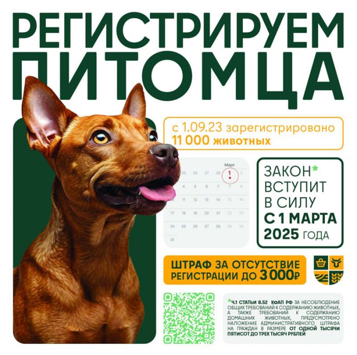 Владельцам домашних животных из Сергиево-Посадского округа необходимо зарегистрировать своих питомцев до 1 марта