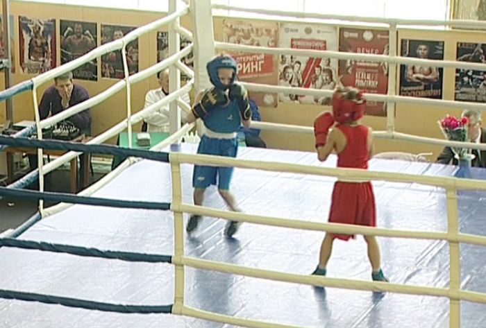 Первенство по боксу прошло в СК &laquo;Луч&raquo;