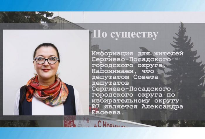 По существу. Депутат Александра Евсеева