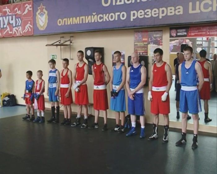 В Сергиево-Посадском районе теперь есть Федерация бокса