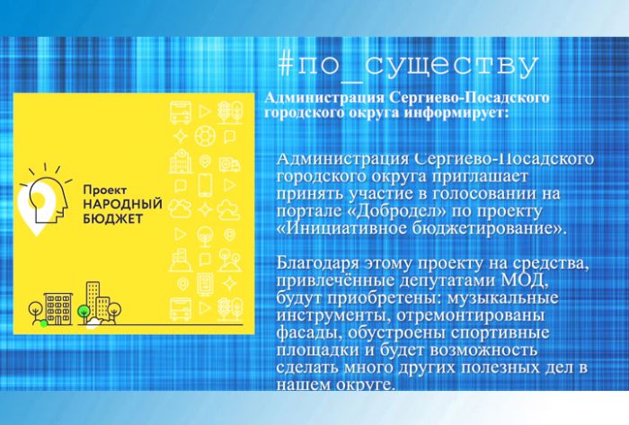 По существу. Голосование на портале &laquo;Добродел&raquo;