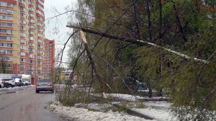 Последствия снегопада устраняют в Сергиево-Посадском округе