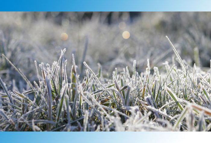 Заморозки до минус 3 градусов ожидаются в Московском регионе в выходные