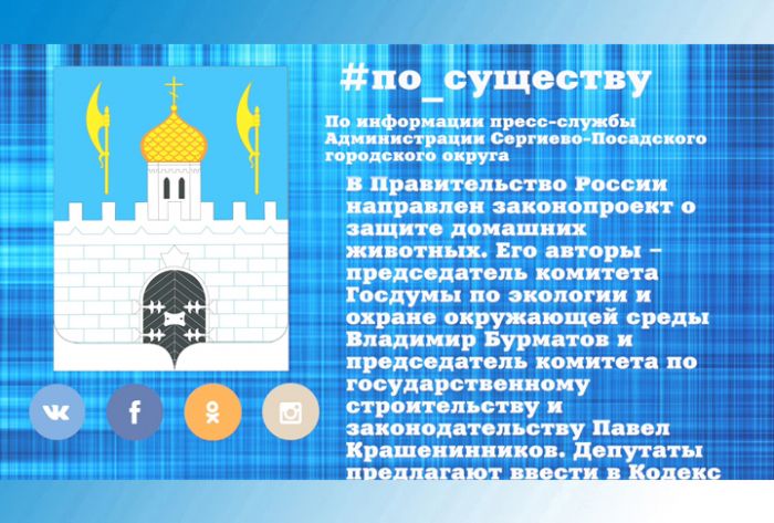 По существу. Законопроект об административной ответственности за брошенных домашних животных