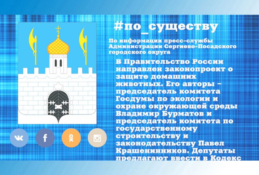 По существу. Законопроект об административной ответственности за брошенных домашних животных