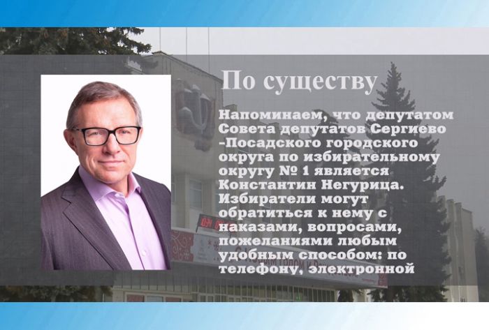По существу. Депутат Константин Негурица