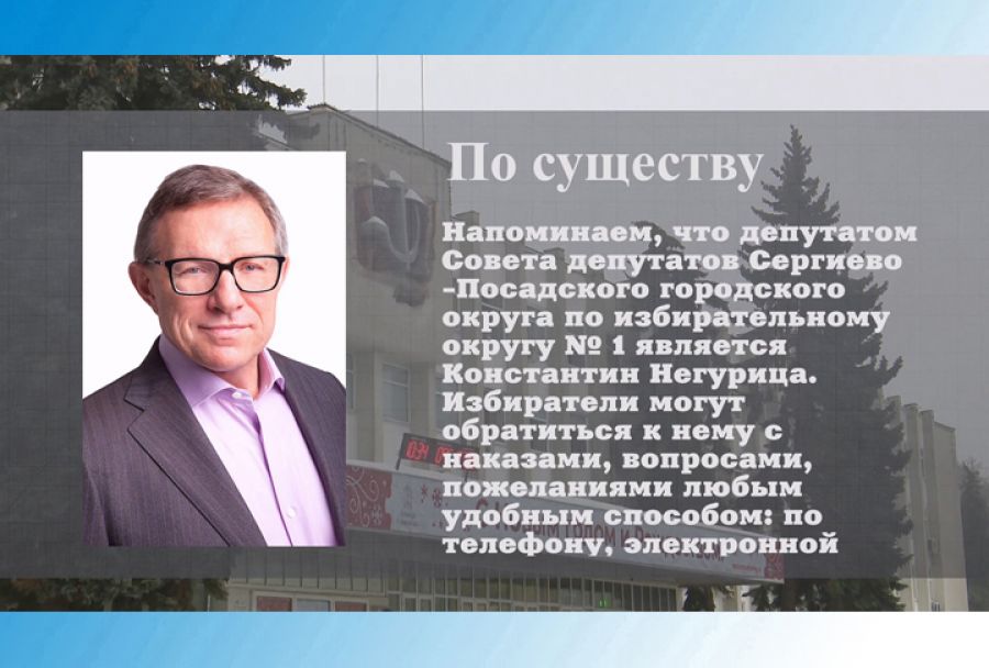 По существу. Депутат Константин Негурица