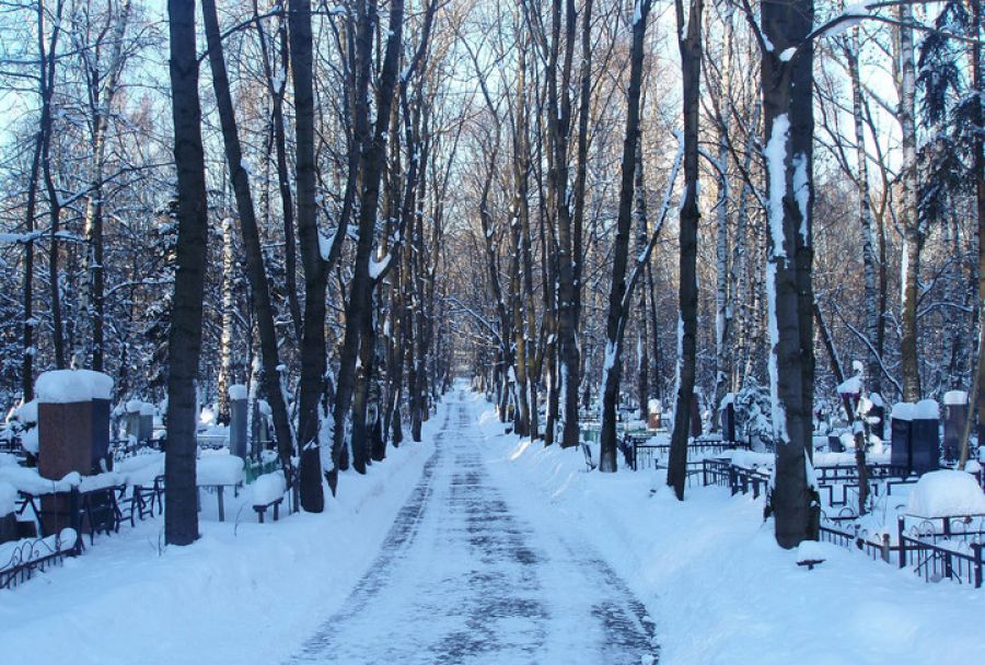 В Подмосковье завершился период благоустройства мест захоронений