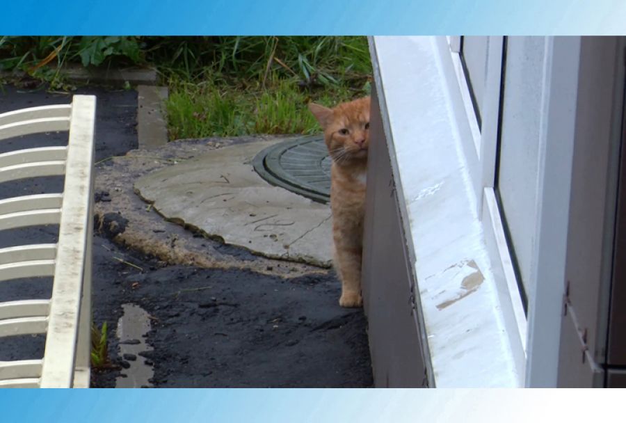 Сергей Пахомов посетил хотьковских новосёлов
