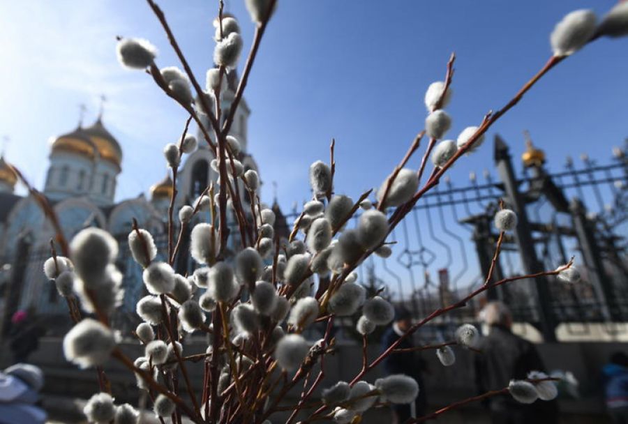 Кладбища Московской области готовы к посещению