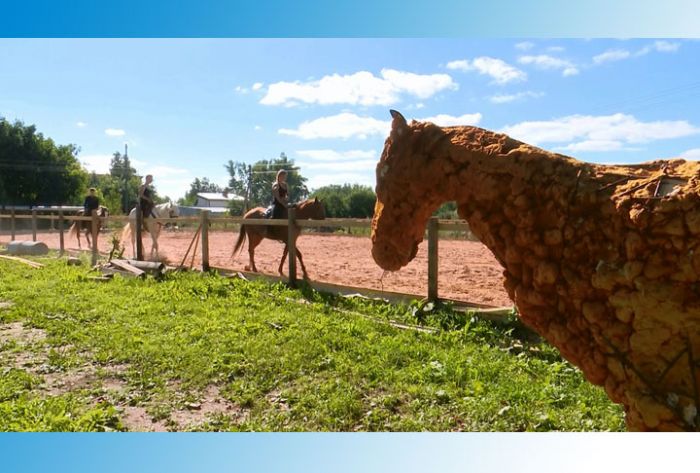 Краснозаводский конный клуб &laquo;Ермак&raquo;. О джигитах и их четвероногих подопечных