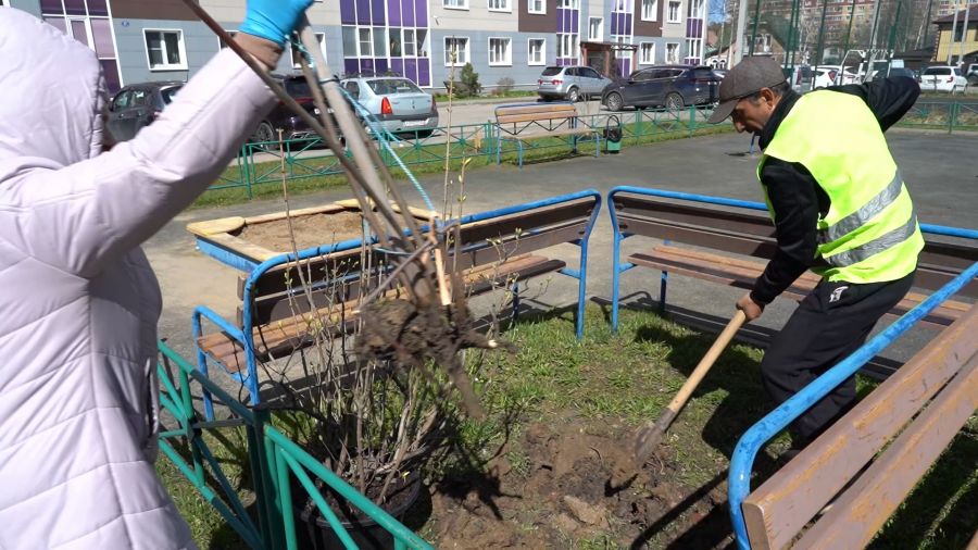 Озеленение Сергиево-Посадского округа продолжается