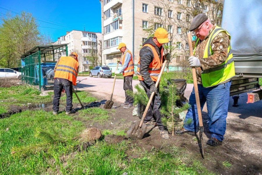 В Сергиевом Посаде проводят озеленение контейнерных площадок