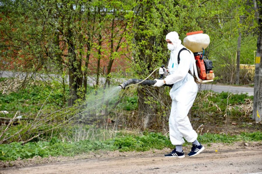 Свыше двух тысяч гектаров обработано от борщевика в Сергиево-Посадском округе