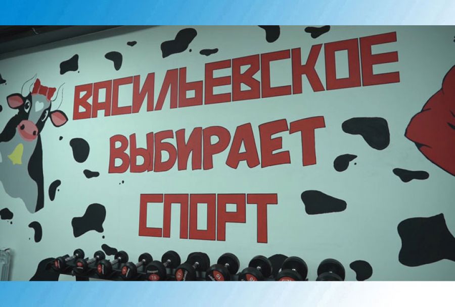 В Васильевском выбирают спорт