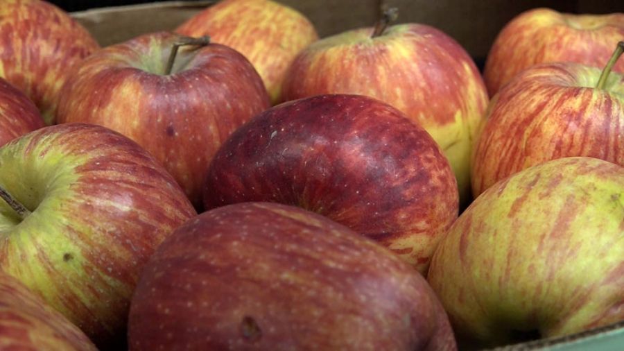 Православный мир отмечает Преображение Господне