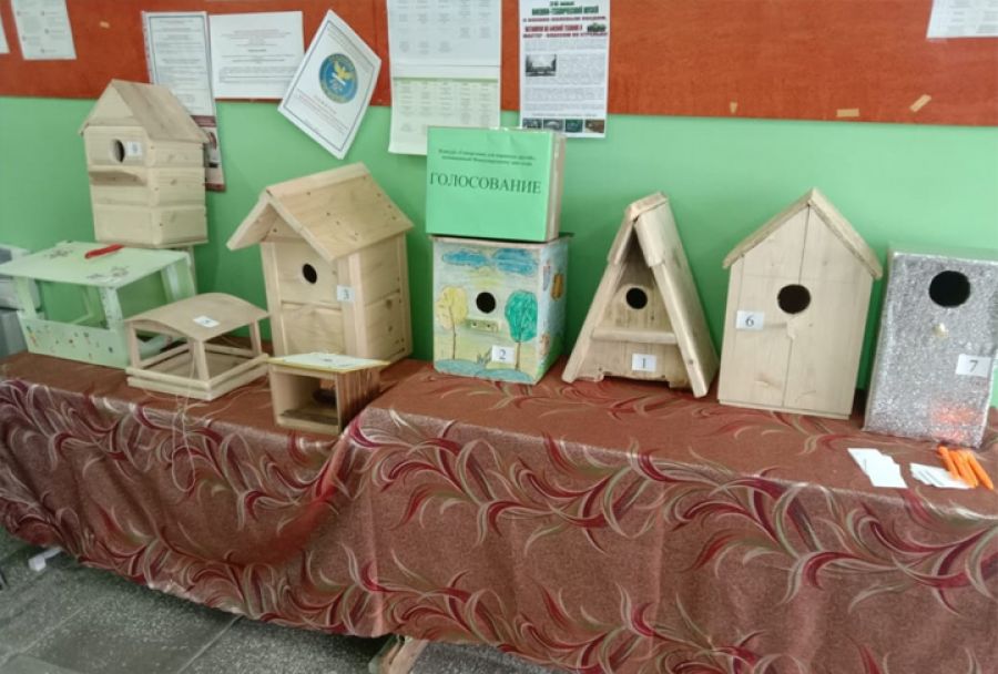 Годичный семинар-практикум «Методика работы с детьми дошкольного возраста в рамках образовательной области «Познавательное развитие»