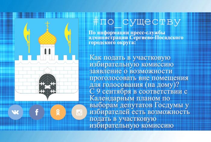 По существу. Как проголосовать на дому?