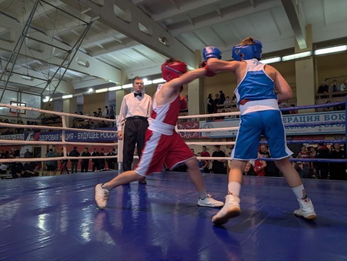 Турнир по боксу на Кубок «Единой России»