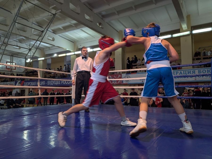 Турнир по боксу на Кубок «Единой России».