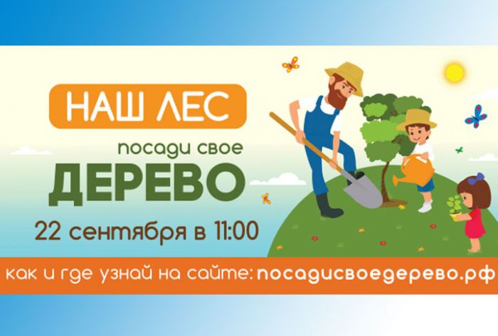 Акция &laquo;Наш лес. Посади своё дерево&raquo; пройдёт 22 сентября