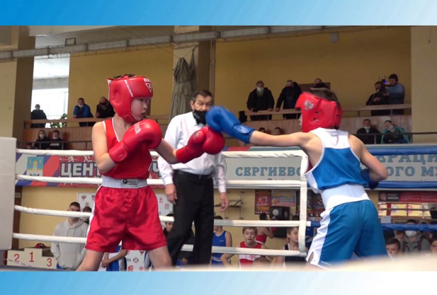 Соревнования по боксу прошли без зрителей