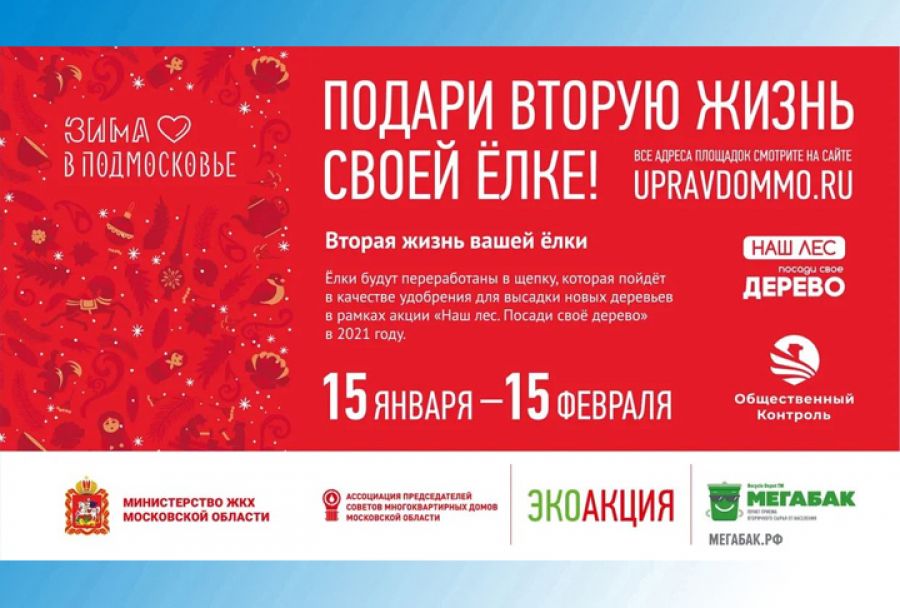Акция «Подари ёлке вторую жизнь» продлится в Сергиево-Посадском округе до 15 февраля