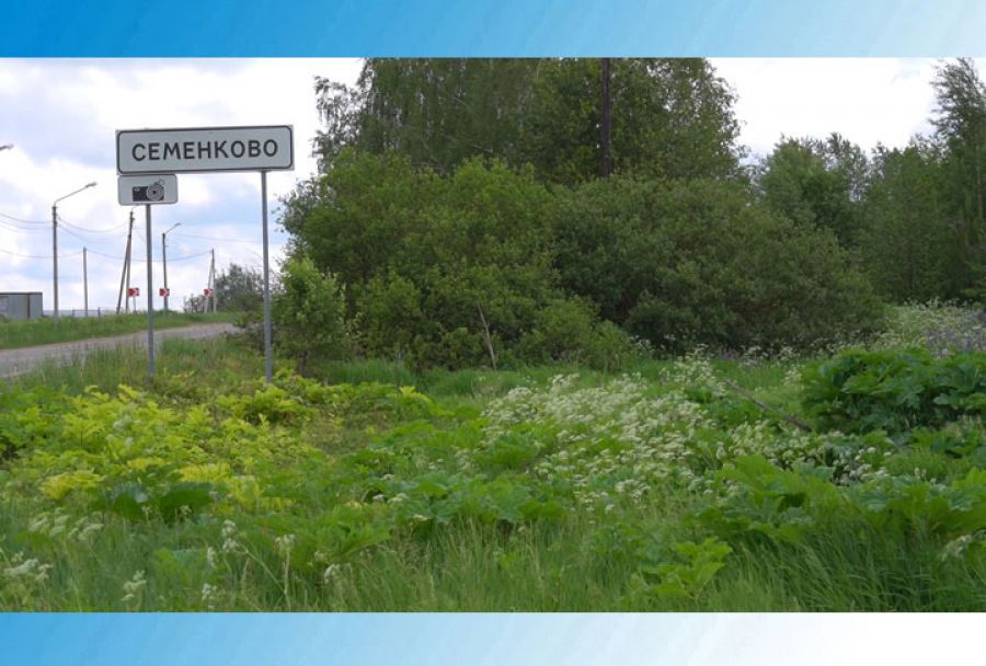 Ситуацию с борщевиком в округе выяснили депутаты