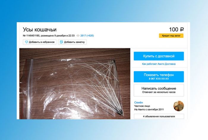 Житель Перми выставил на продажу усы своих котов