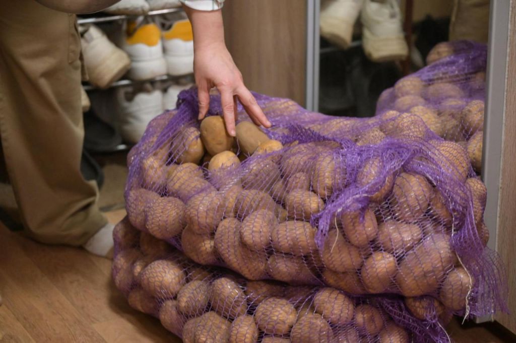 Волонтёры Сергиево-Посадского округа получили три тонны картофеля для приготовления домашней еды бойцам СВО