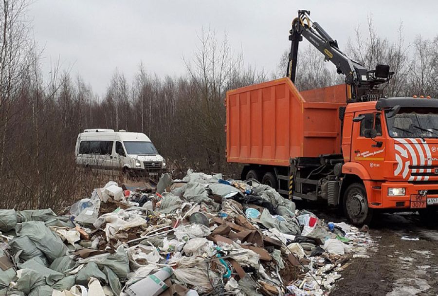 Минэкологии: в 19 муниципалитетах полностью ликвидированы незаконные свалки